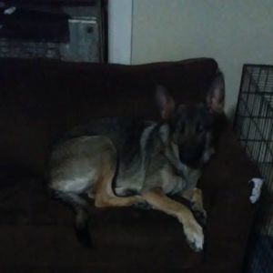 Meet your Posher, Tabitha